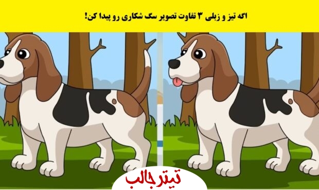 پیدا کردن ۳ تفاوت در تصویر سگ شکاری در “تیز و زبلی ۳”