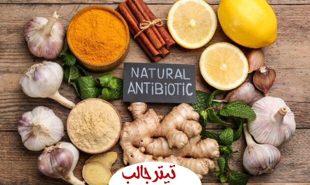 روش های طبیعی برای مبارزه با عفونت های داخلی بدن با استفاده از آنتی بیوتیک های طبیعی