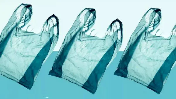 اگر می‌دانستیم چه کارهایی می‌توانستیم با کیسه‌های پلاستیکی مصرف شده در خانه انجام دهیم، عمرا اینقدر آنها را دور نمی‌انداختیم.