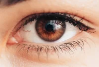 ۱۰ ویتامین مفید برای سلامت چشم به راهنمایی پزشک